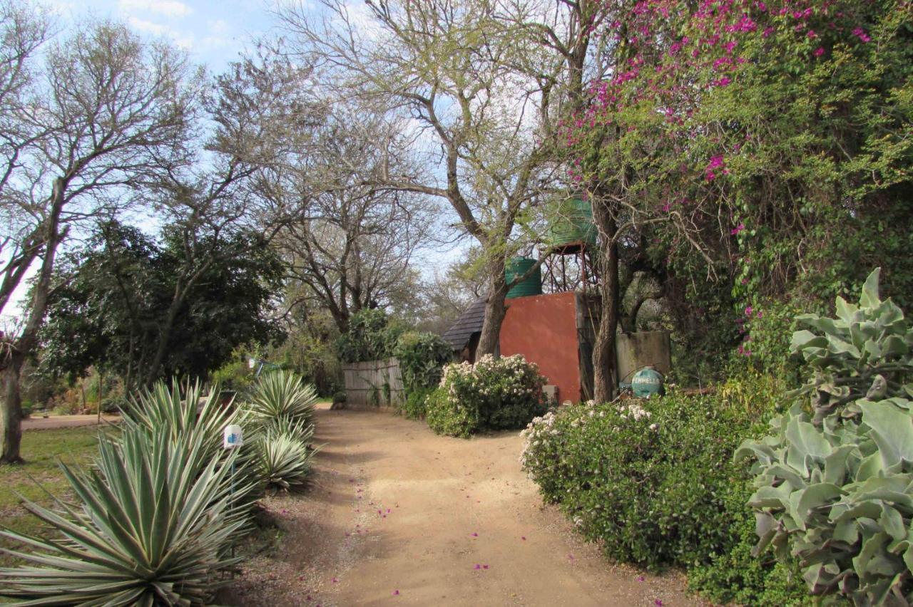 Amanzimlotzi Riverside Bush Camp Hoedspruit Buitenkant foto