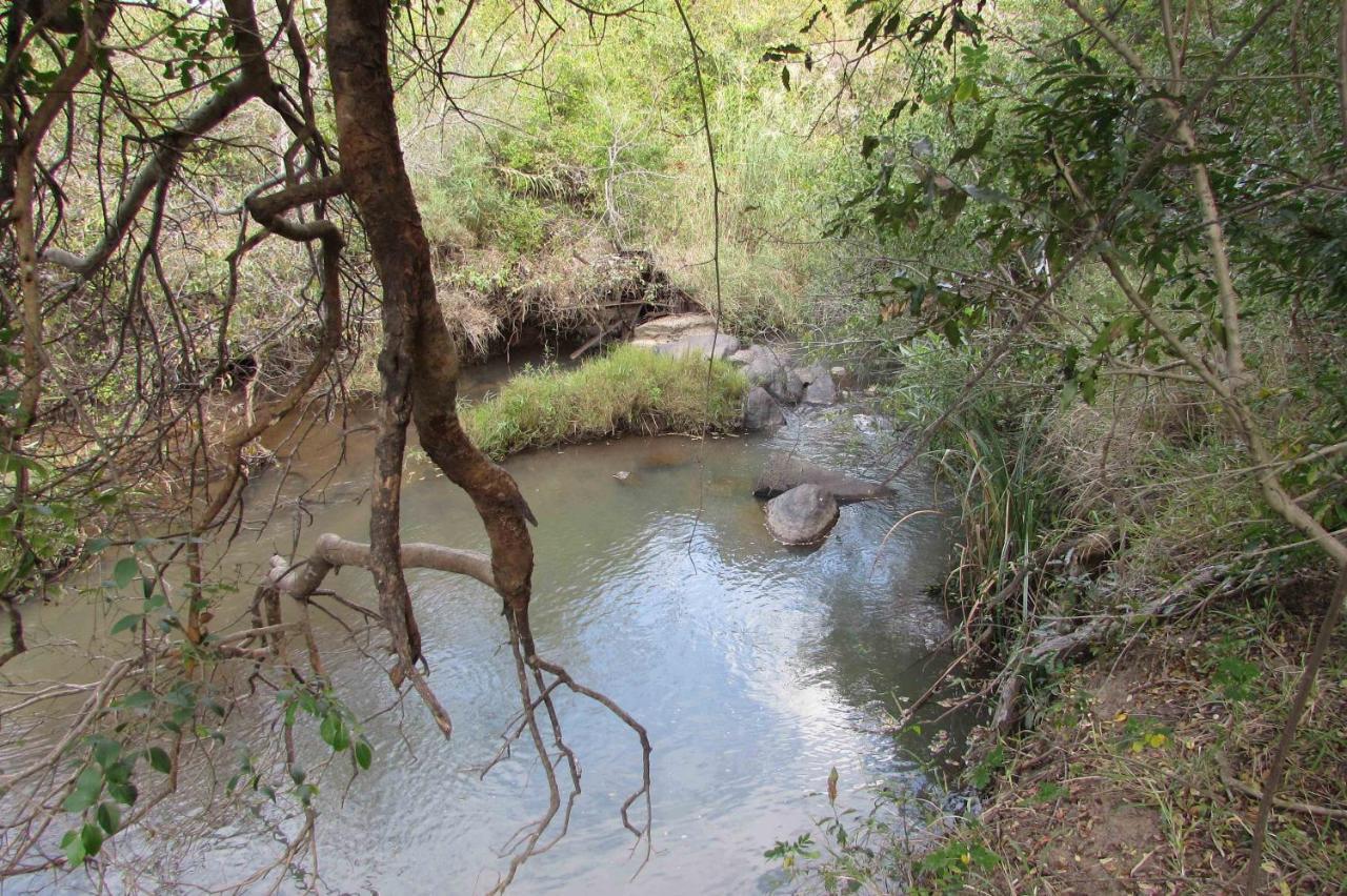 Amanzimlotzi Riverside Bush Camp Hoedspruit Buitenkant foto