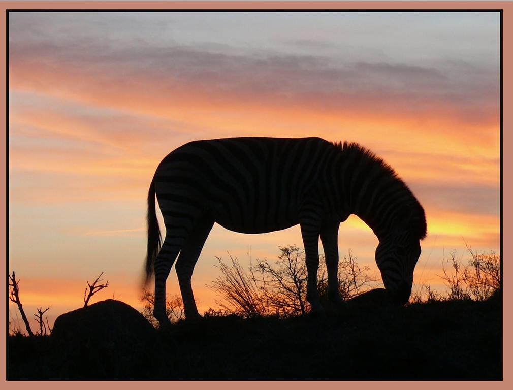 Amanzimlotzi Riverside Bush Camp Hoedspruit Buitenkant foto