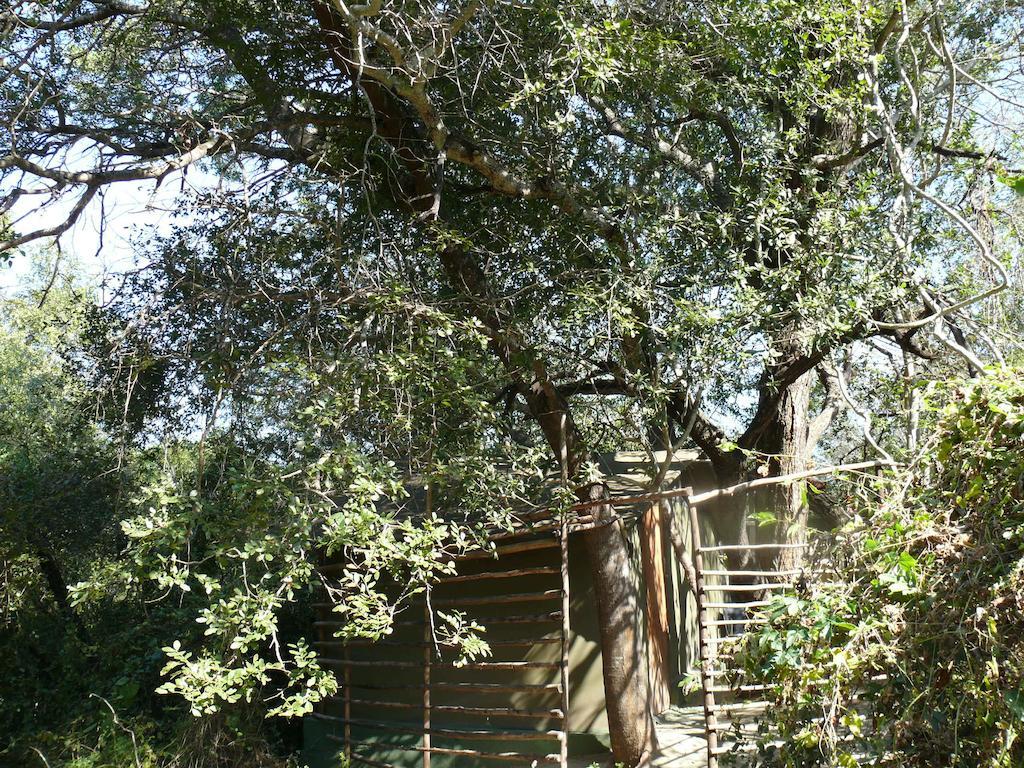Amanzimlotzi Riverside Bush Camp Hoedspruit Kamer foto