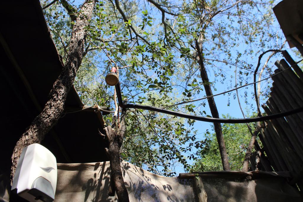 Amanzimlotzi Riverside Bush Camp Hoedspruit Buitenkant foto