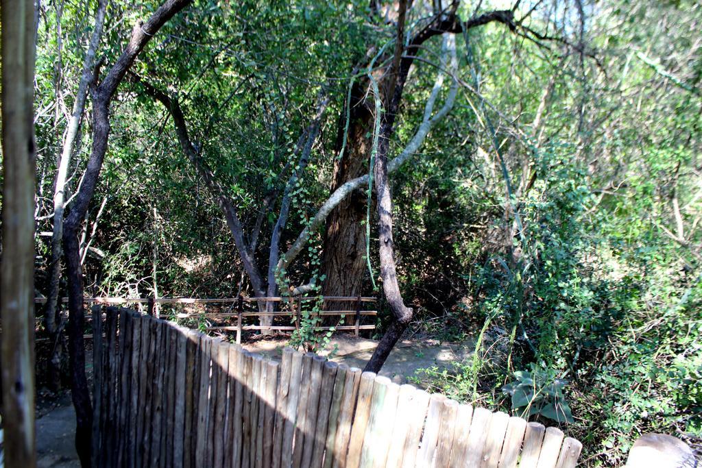 Amanzimlotzi Riverside Bush Camp Hoedspruit Buitenkant foto