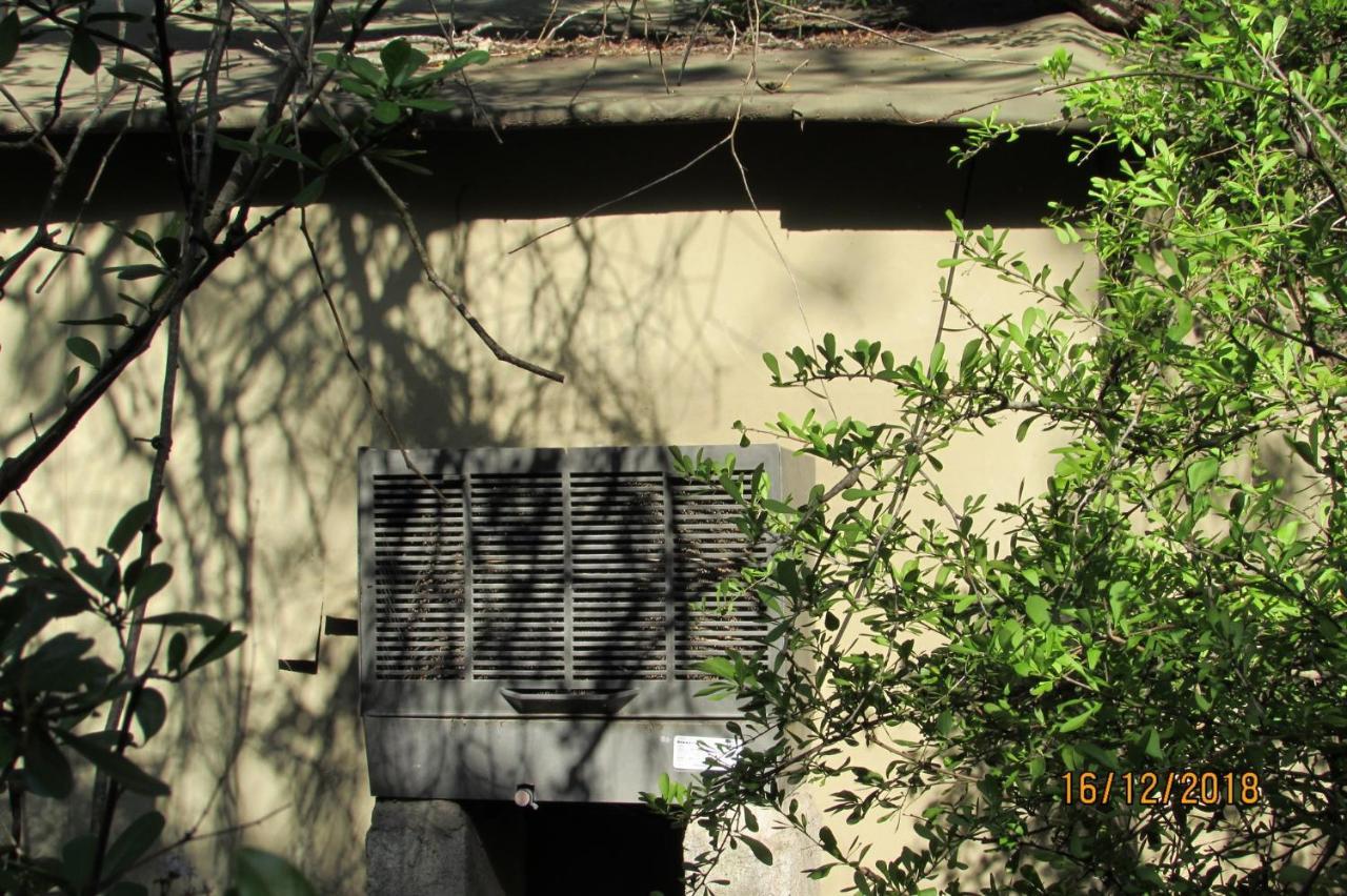 Amanzimlotzi Riverside Bush Camp Hoedspruit Buitenkant foto