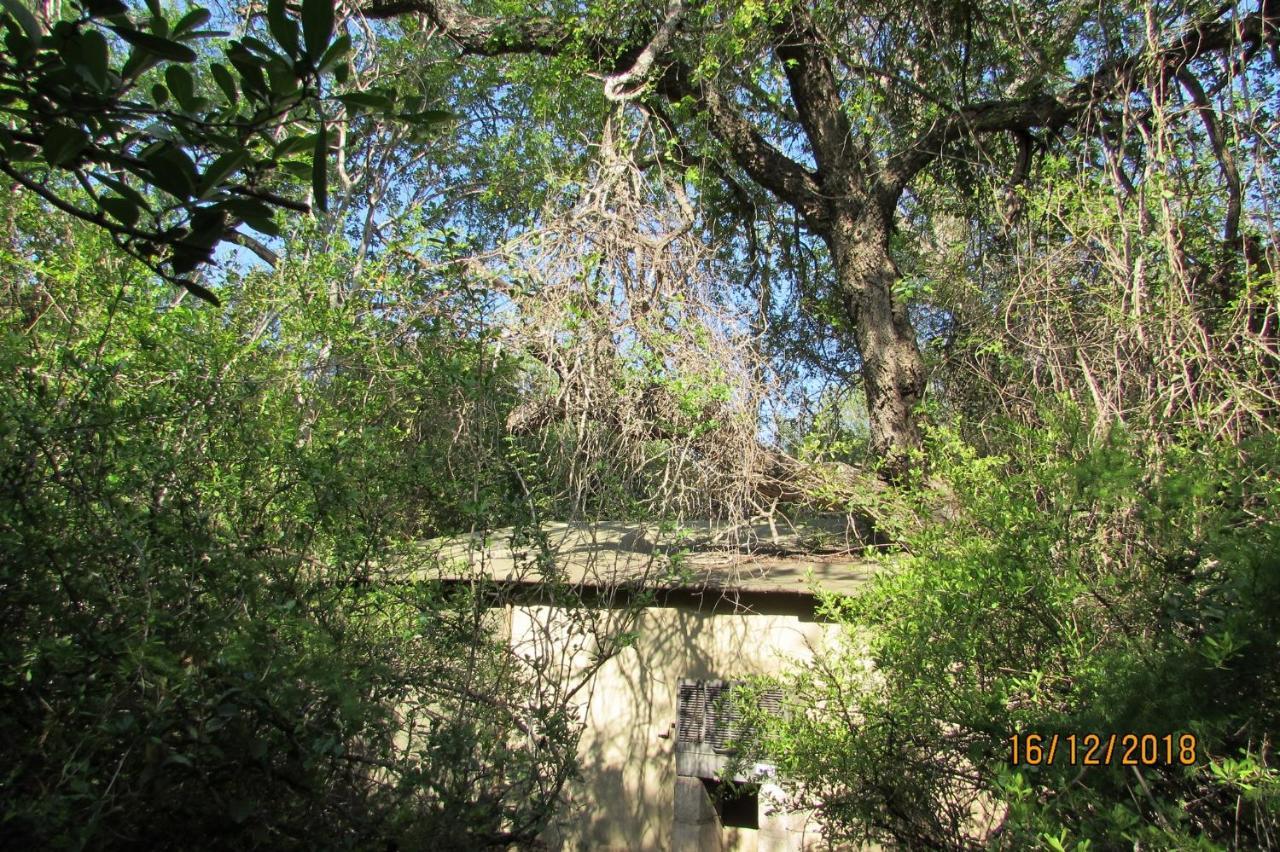 Amanzimlotzi Riverside Bush Camp Hoedspruit Buitenkant foto