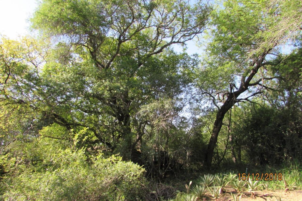 Amanzimlotzi Riverside Bush Camp Hoedspruit Buitenkant foto