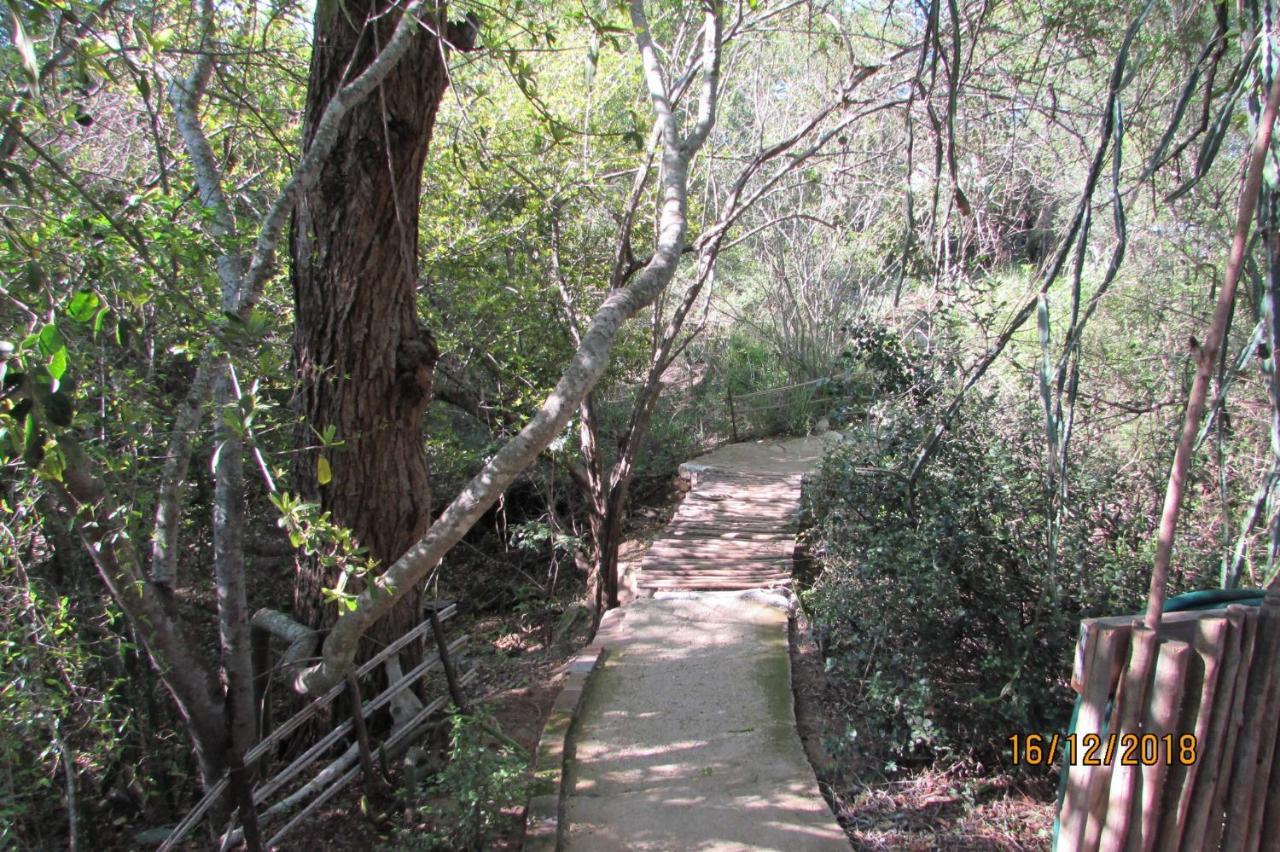 Amanzimlotzi Riverside Bush Camp Hoedspruit Buitenkant foto